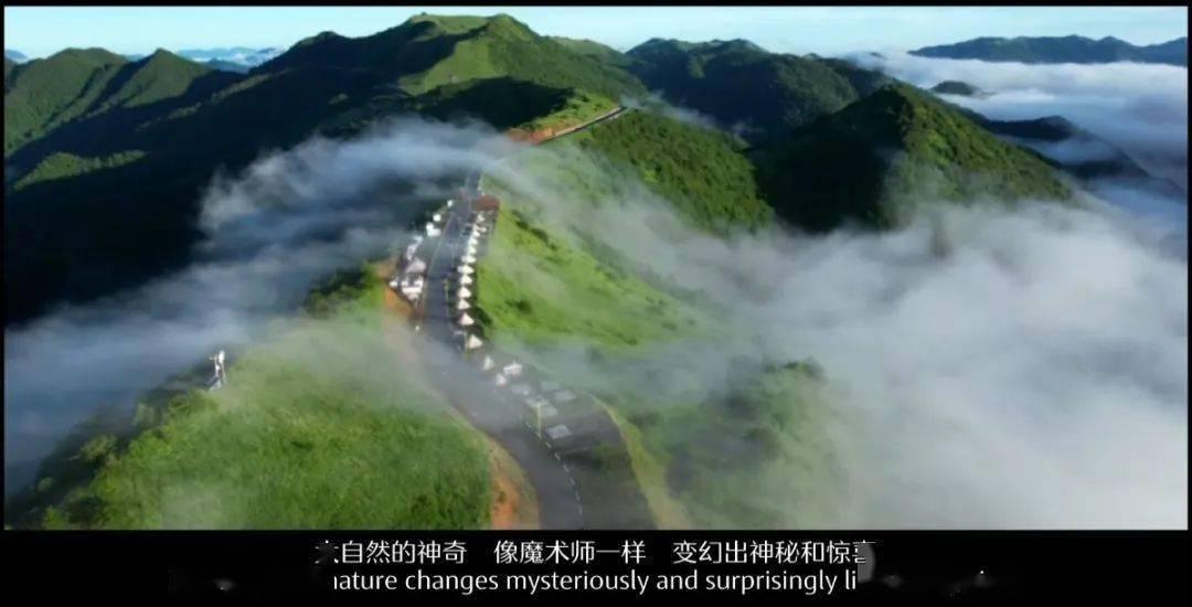 组装机械机甲暴龙2